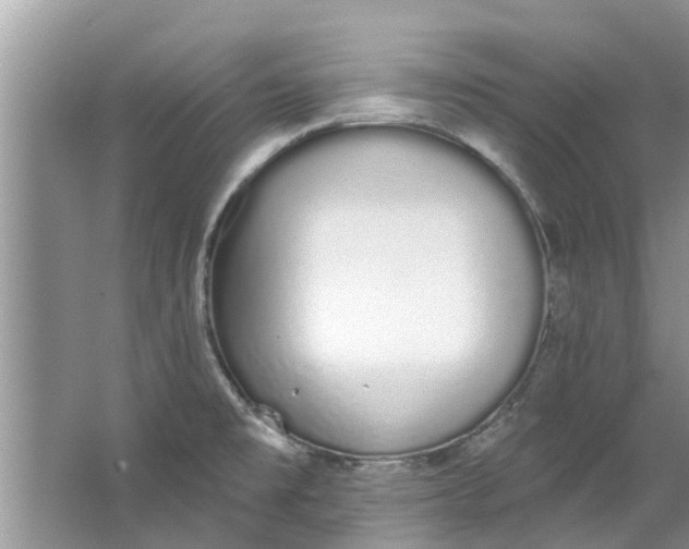 X0000064051477200602101438