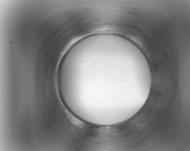 X0000064051478200602101438