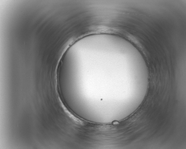 X0000064051479200602101438