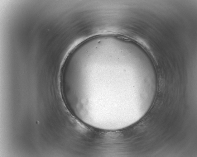 X0000064051480200602101438