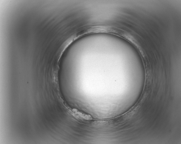 X0000064051481200602101438