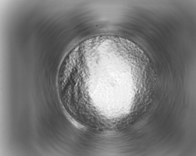 X0000064051482200602101437