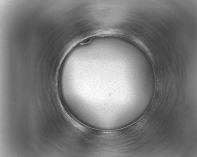 X0000064051483200602101437