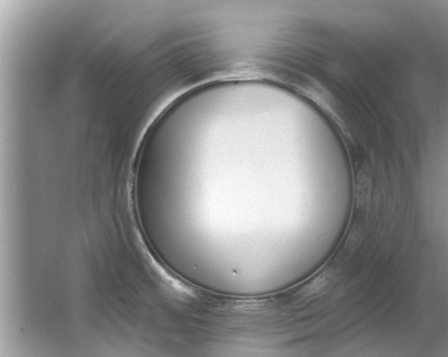 X0000064051484200602101437