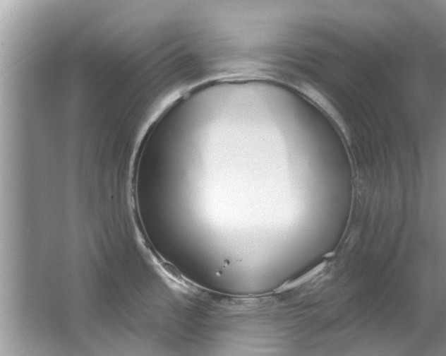 X0000064051485200602101437