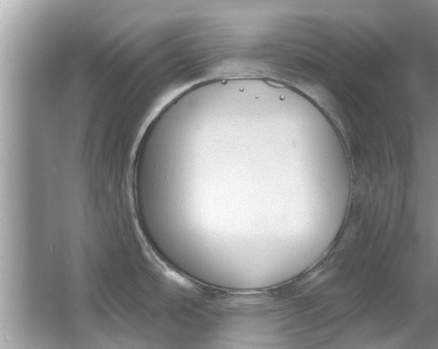 X0000064051486200602101437