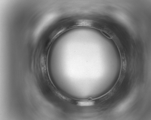 X0000064051487200602101437