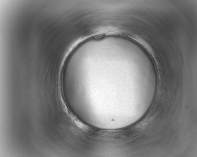 X0000064051488200602101437