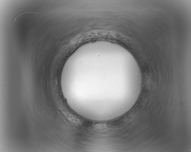 X0000064051489200602101437