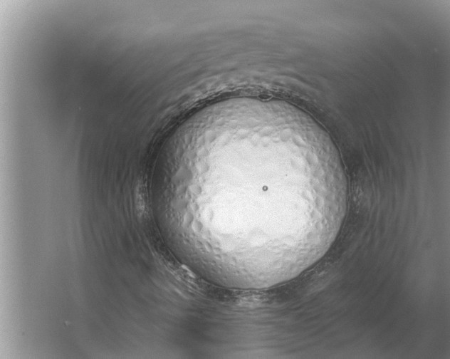 X0000064051490200602101437