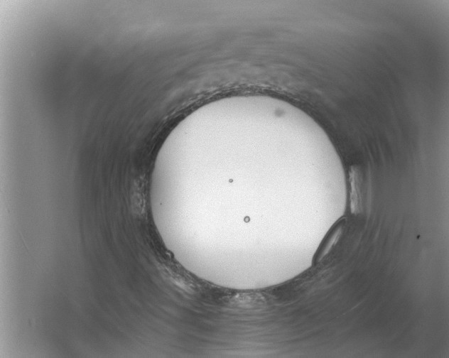 X0000064051491200602101437