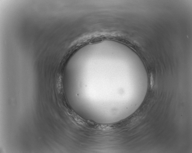 X0000064051492200602101437