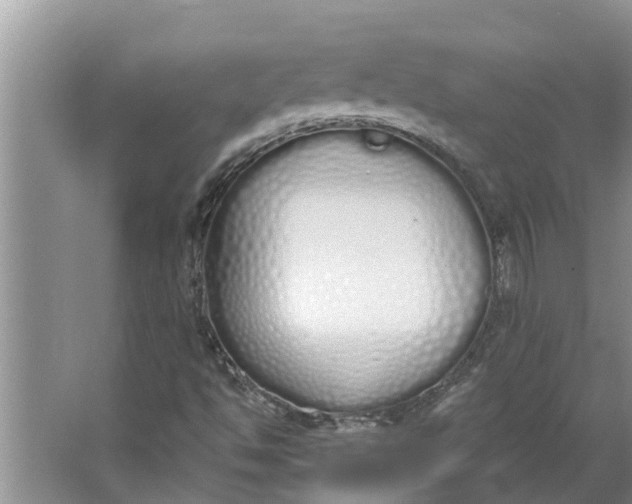 X0000064051494200602101437