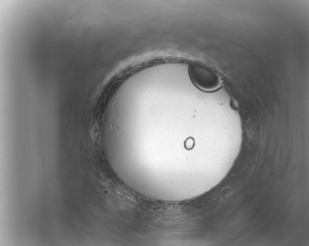 X0000064051495200602101437