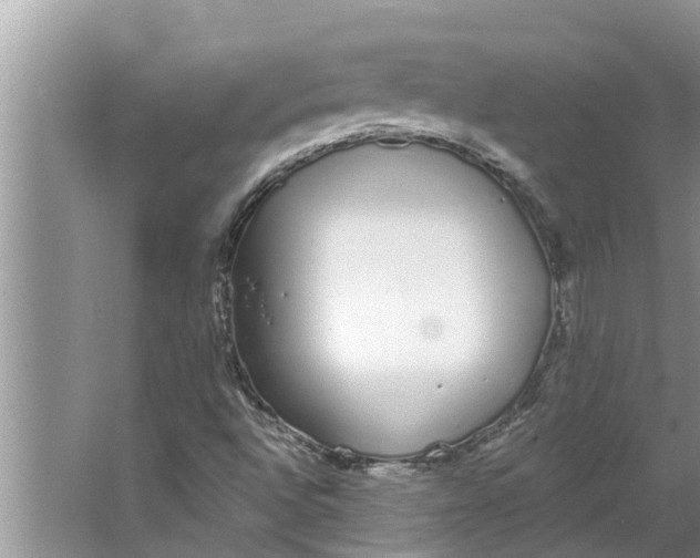 X0000064051496200602101437