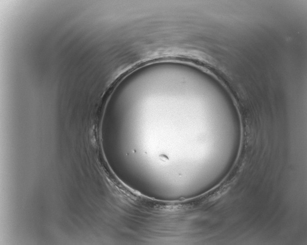 X0000064051497200602101437