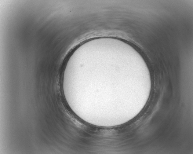 X0000064051498200602101437