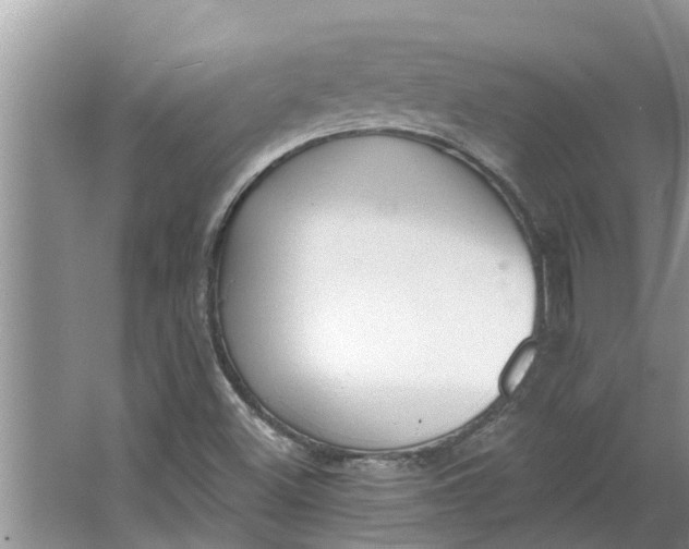 X0000064051500200602101437