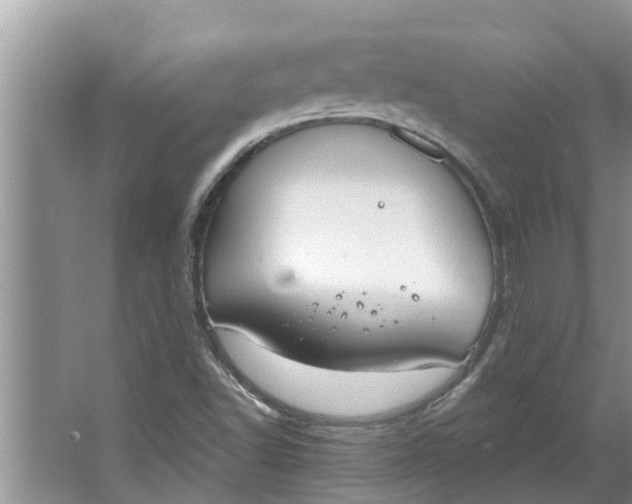 X0000064051502200602101437