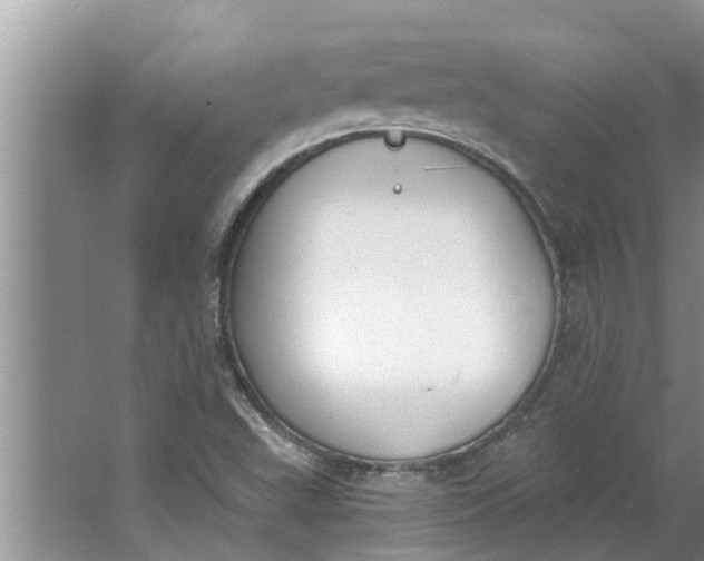 X0000064051503200602101437