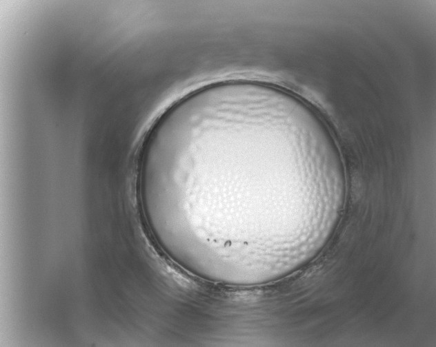 X0000064051504200602101437