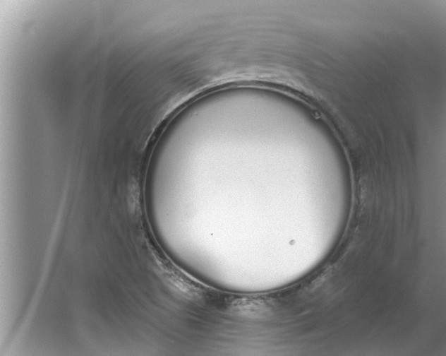 X0000064051505200602101437