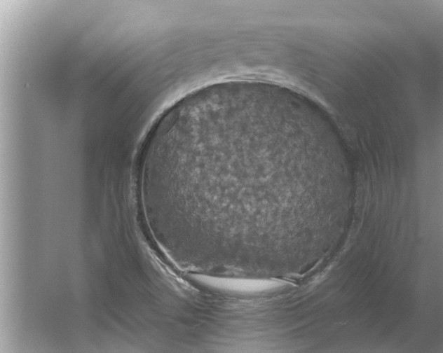 X0000064051506200602101437