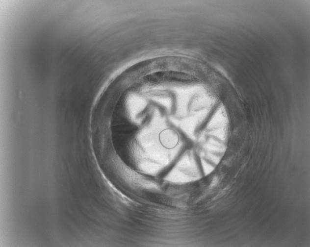 X0000064051508200602101437