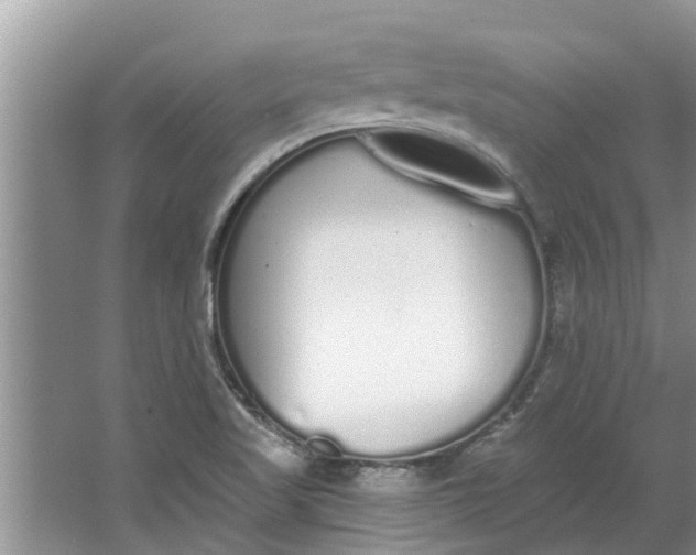 X0000064051509200602101437