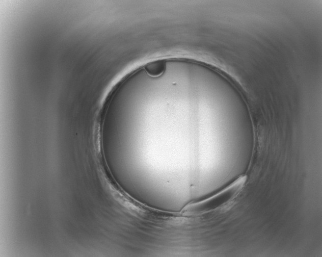 X0000064051510200602101437