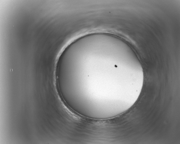 X0000064051512200602101437