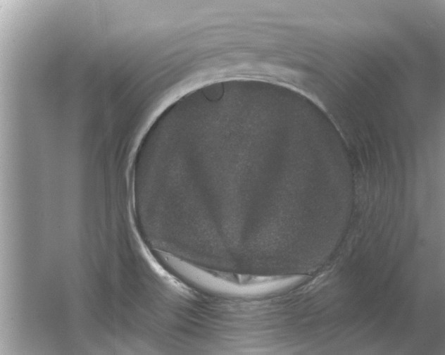 X0000064051515200602101437