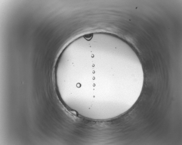 X0000064051516200602101437