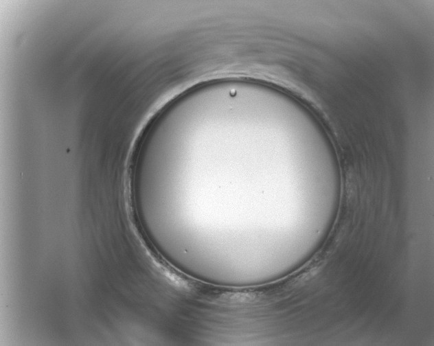 X0000064051517200602101437