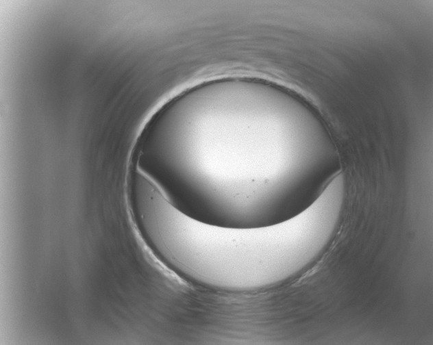 X0000064051518200602101437