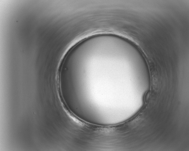 X0000064051519200602101437