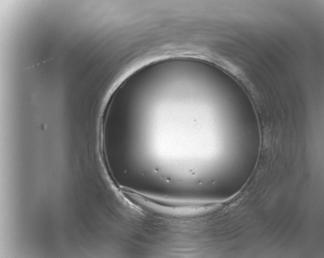 X0000064051520200602101437