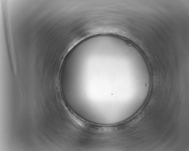 X0000064051521200602101437