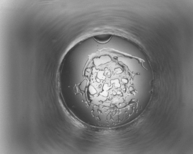 X0000064051522200602101437