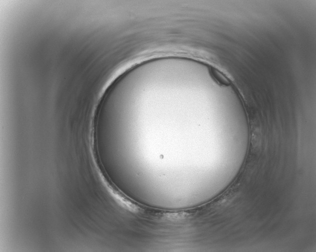 X0000064051523200602101437