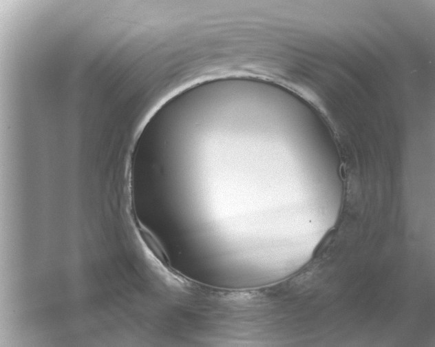 X0000064051524200602101437