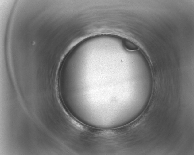 X0000064051525200602101437