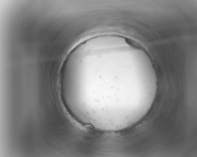 X0000064051526200602101437