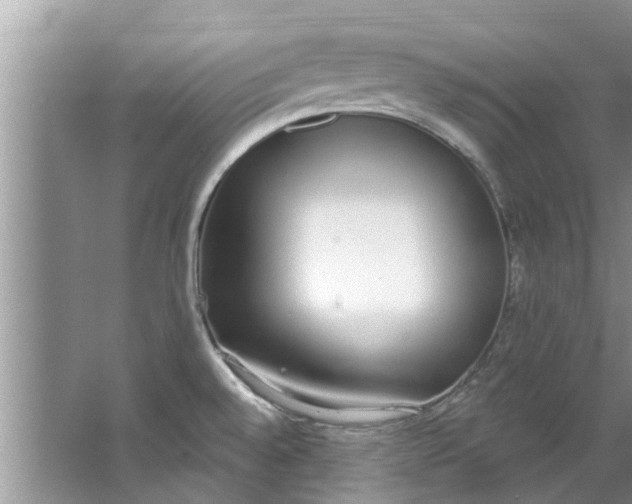 X0000064051528200602101437