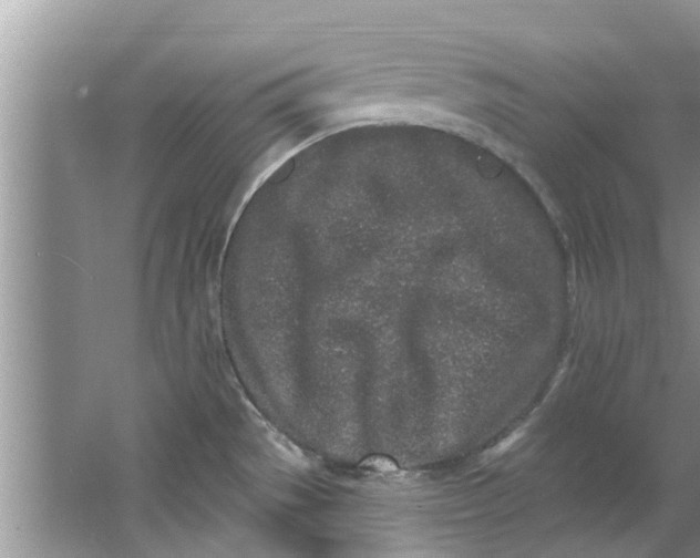 X0000064051529200602101437