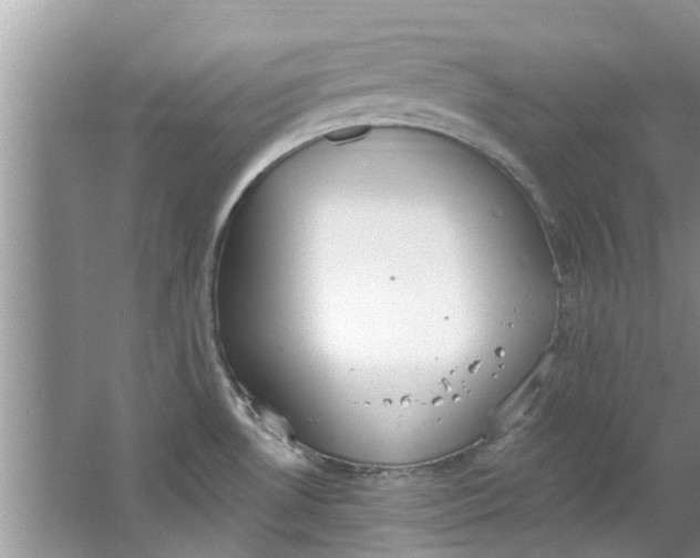 X0000064051530200602101437