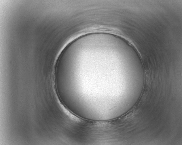 X0000064051531200602101437