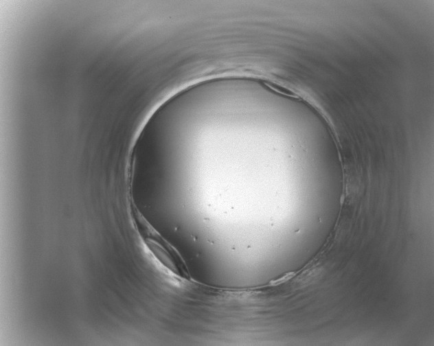 X0000064051532200602101437