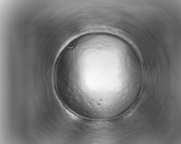 X0000064051533200602101437