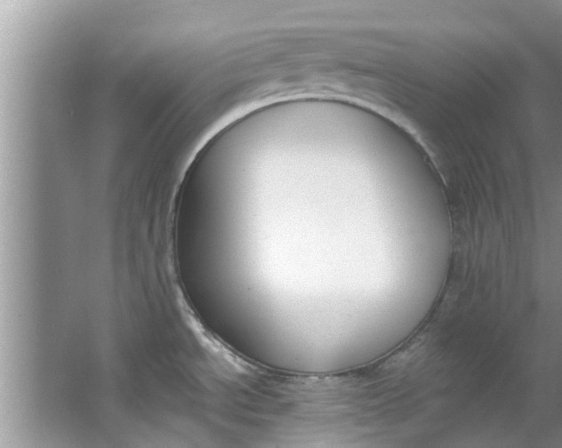 X0000064051534200602101437